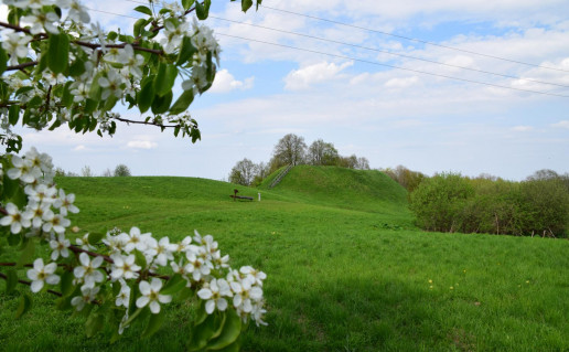 15_Maisiejunu piliakalnis_R_Mikitiejevos nuotr 2.jpg
